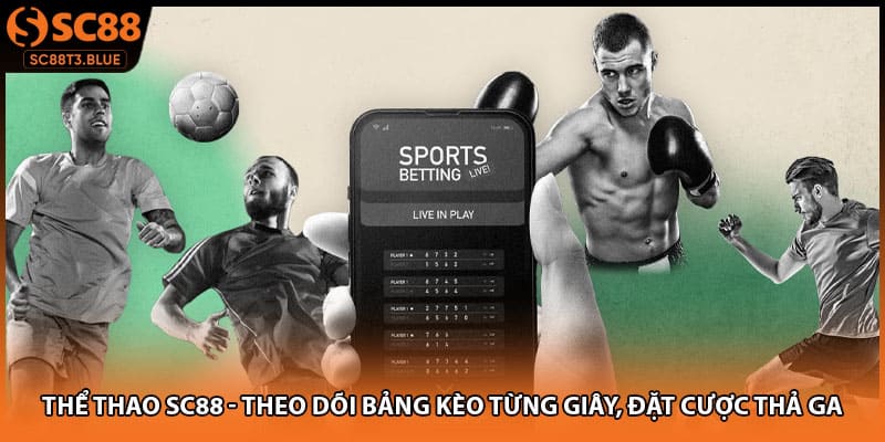 Thể Thao SC88 - Theo Dõi Bảng Kèo Từng Giây, Đặt Cược Thả Ga